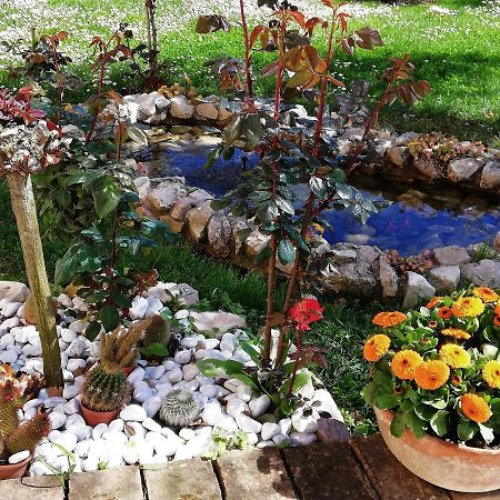 シローロ La Ginestra Bed & Breakfast エクステリア 写真