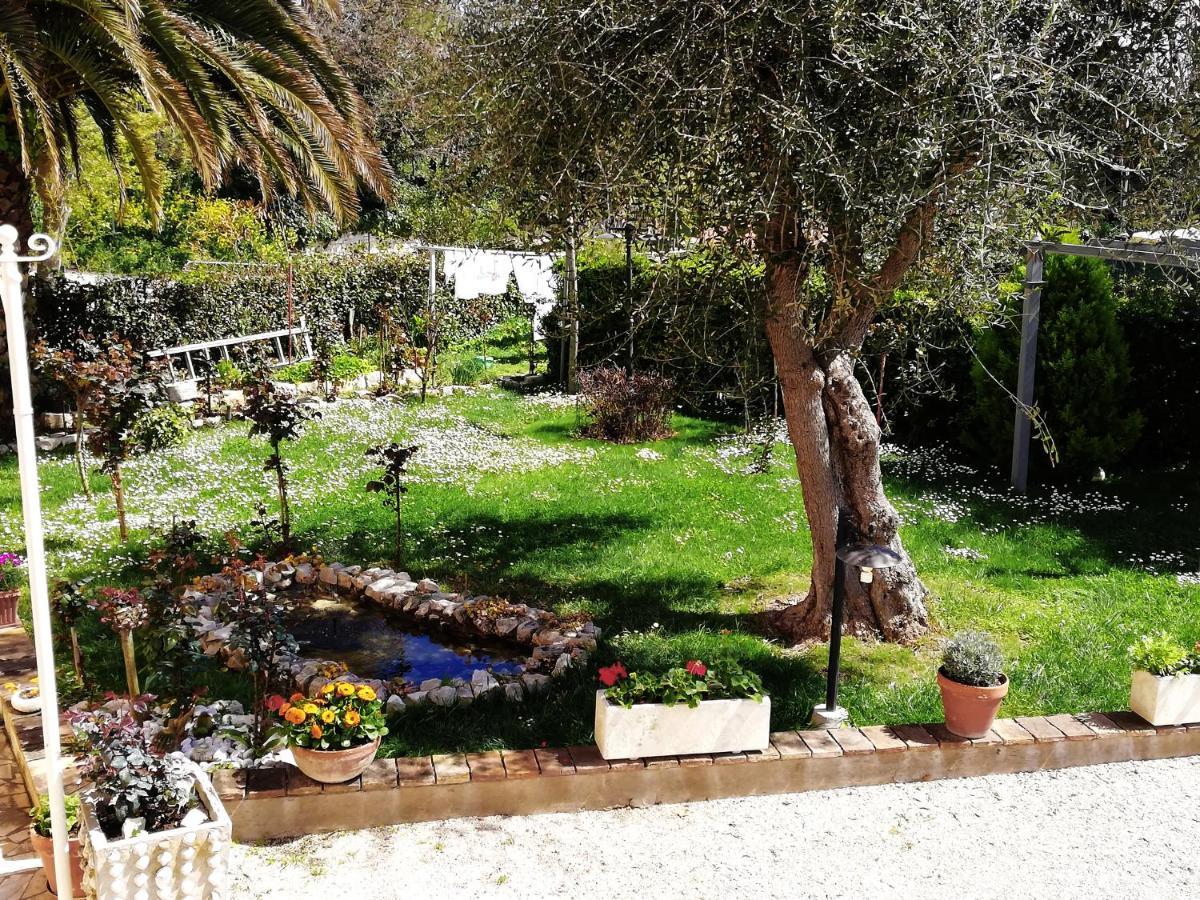 シローロ La Ginestra Bed & Breakfast エクステリア 写真